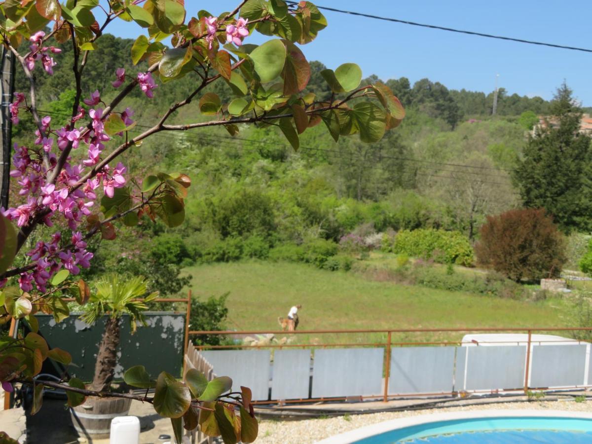 Les Eaux Claires * Saint-Paul-le-Jeune